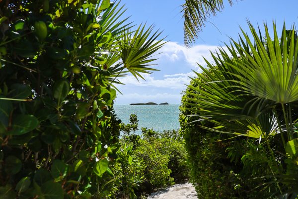 TUrks and caicos islands fishing charters-13